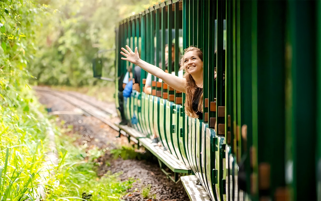 Train ride through lush greenery at Iguazu Falls, Argentina.