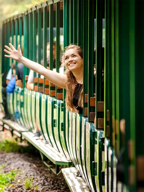 Train ride through lush greenery at Iguazu Falls, Argentina.