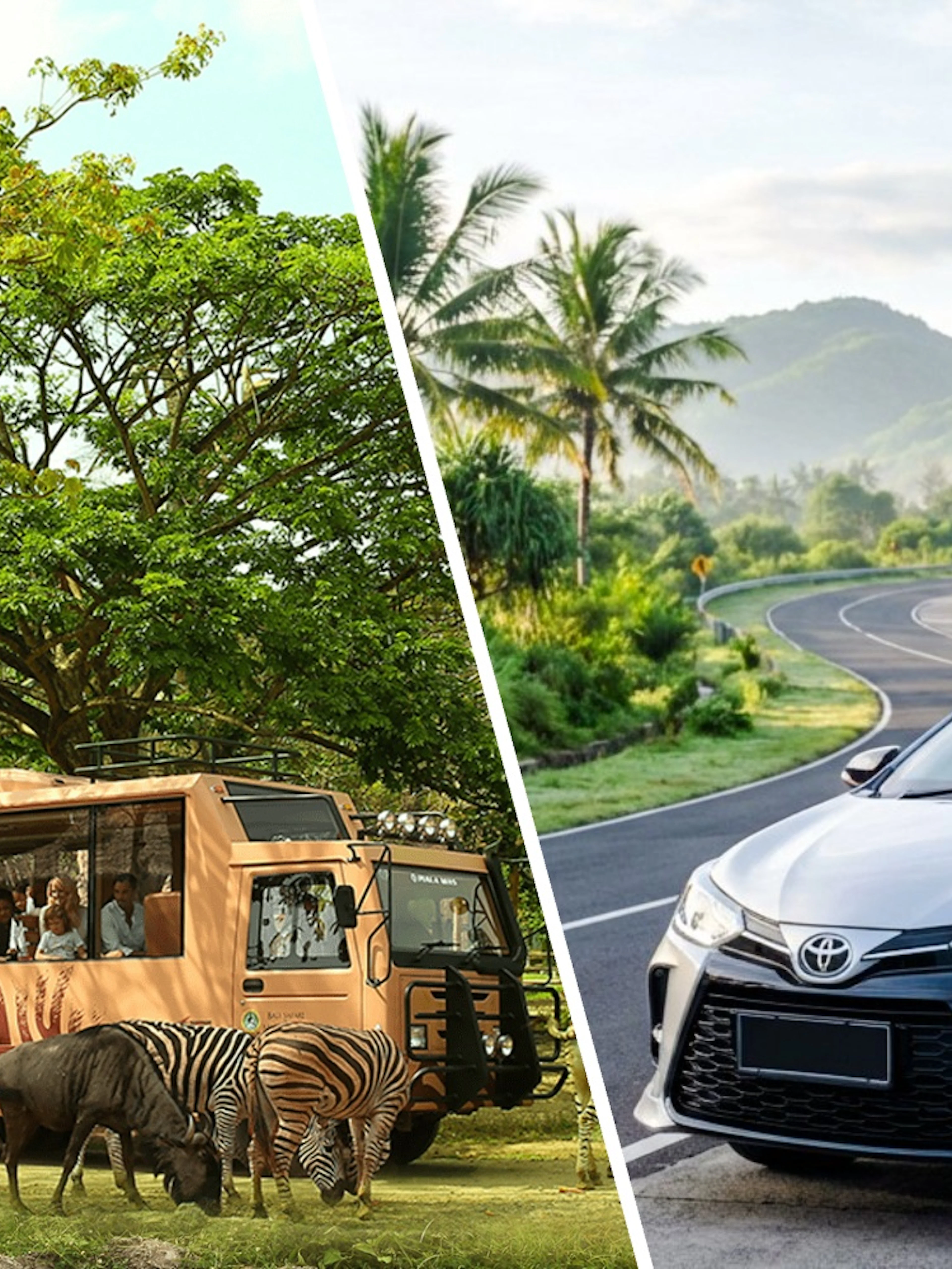 Safari bus with zebras at Taman Safari Bali; Toyota Yaris on tropical road with palm trees and mountains.