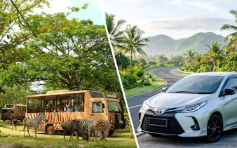 Safari bus with zebras at Taman Safari Bali; Toyota Yaris on tropical road with palm trees and mountains.