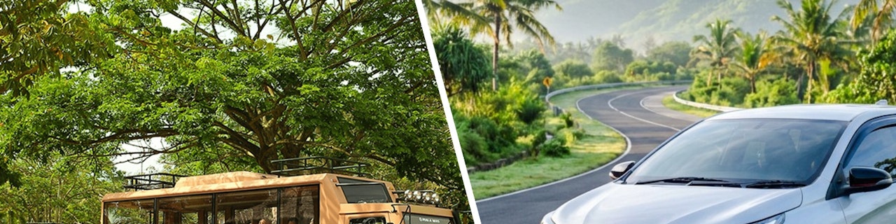 Biglietti per il Bali Safari Park + noleggio auto a 5 posti