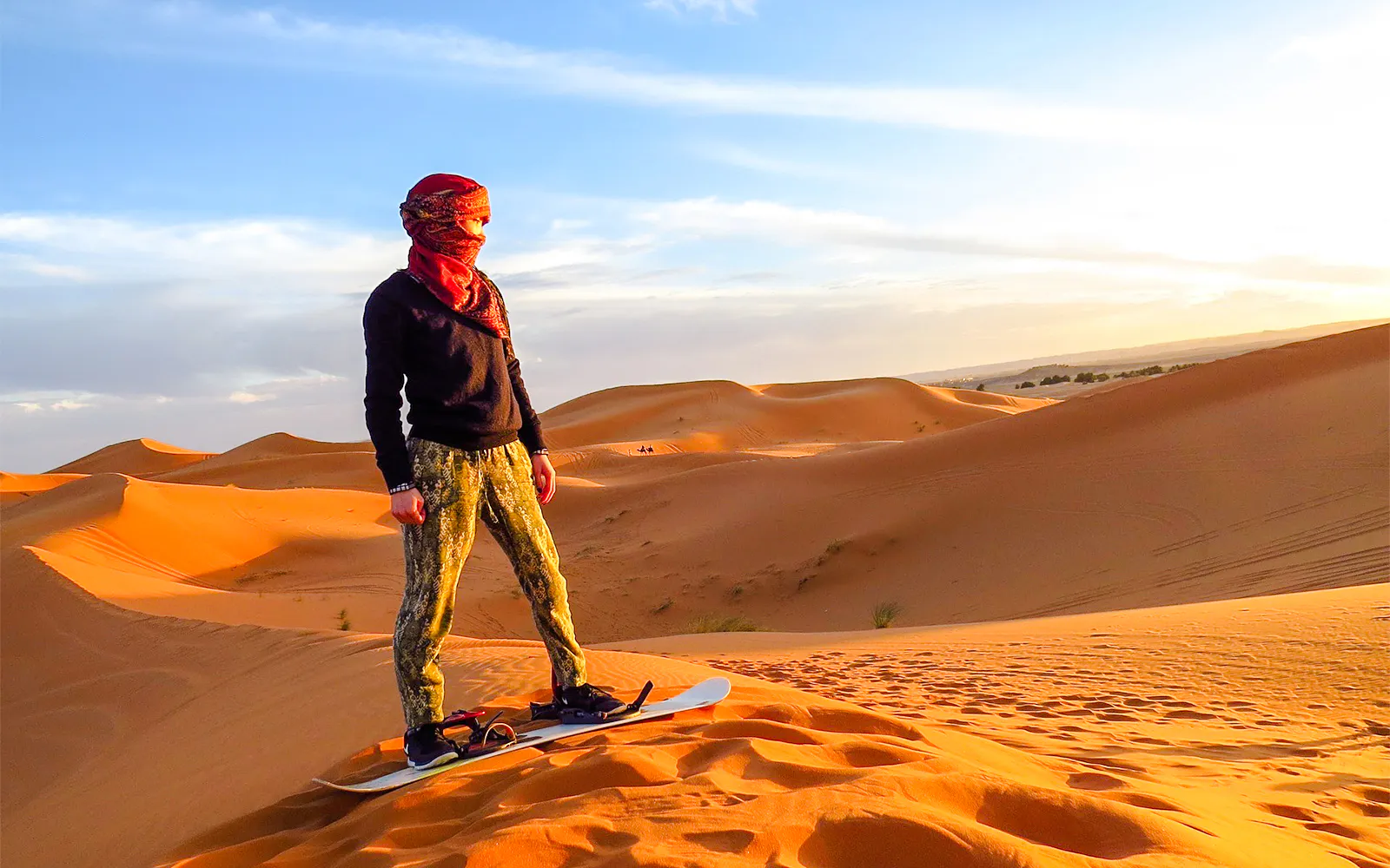 Dubai Desert Self-Drive Buggy or Quad Bike with Premium Desert Dinner and Private Transfers Image 10