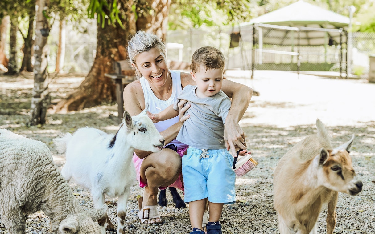 Mother and child petting goats at Maleny Botanic Gardens and Bird World.