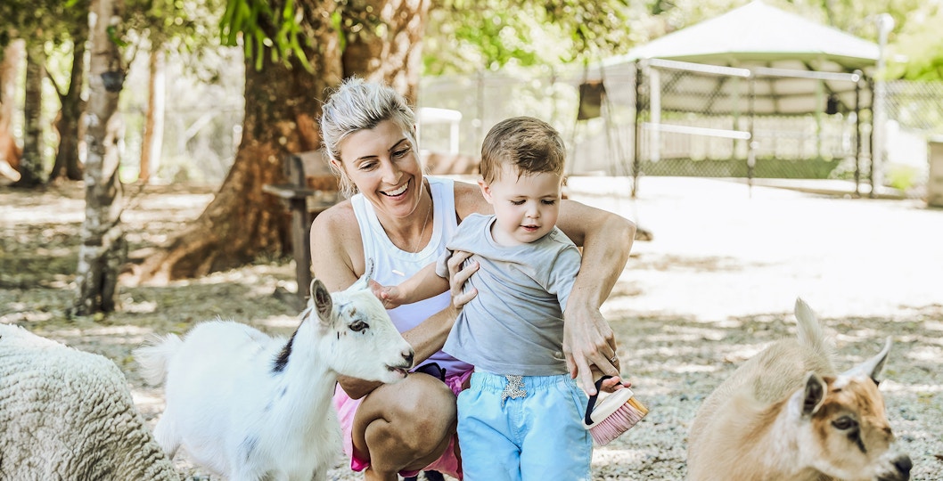 Maleny Botanic Gardens