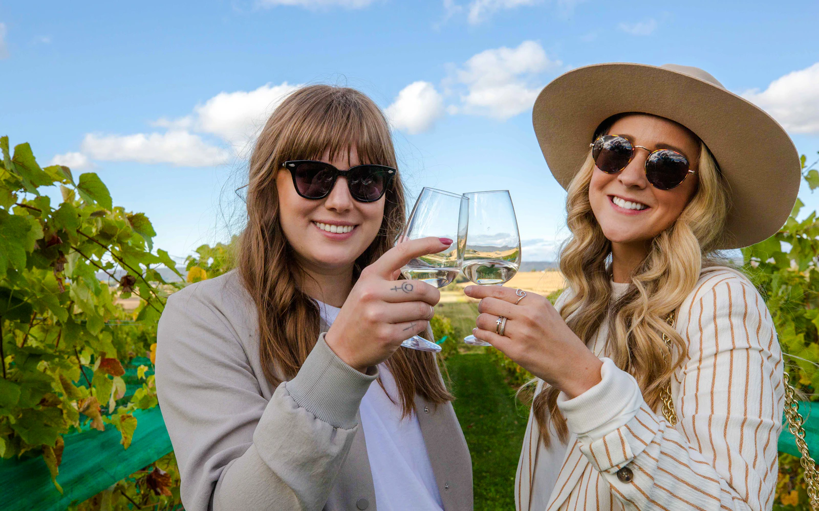 From Halifax: Sommelier-Guided Nova Scotia Wine Tour with Tastings and Lunch