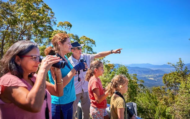 Group observing rainforest landscape during a nocturnal wildlife tour.