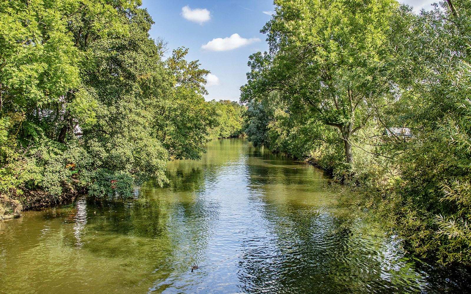 Pleiße River & Floodplain Forest