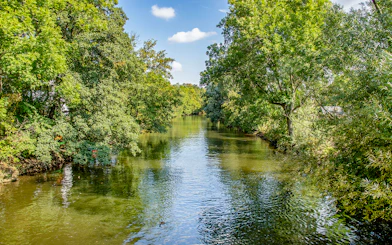 Riverside forest view along a calm river in Leipzig during a motorboat tour.