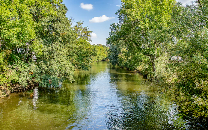 Riverside forest view along a calm river in Leipzig during a motorboat tour.