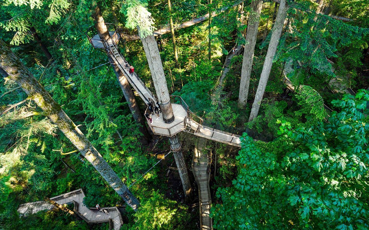 Treetop walkway at Capilano Suspension Bridge Park surrounded by lush forest.