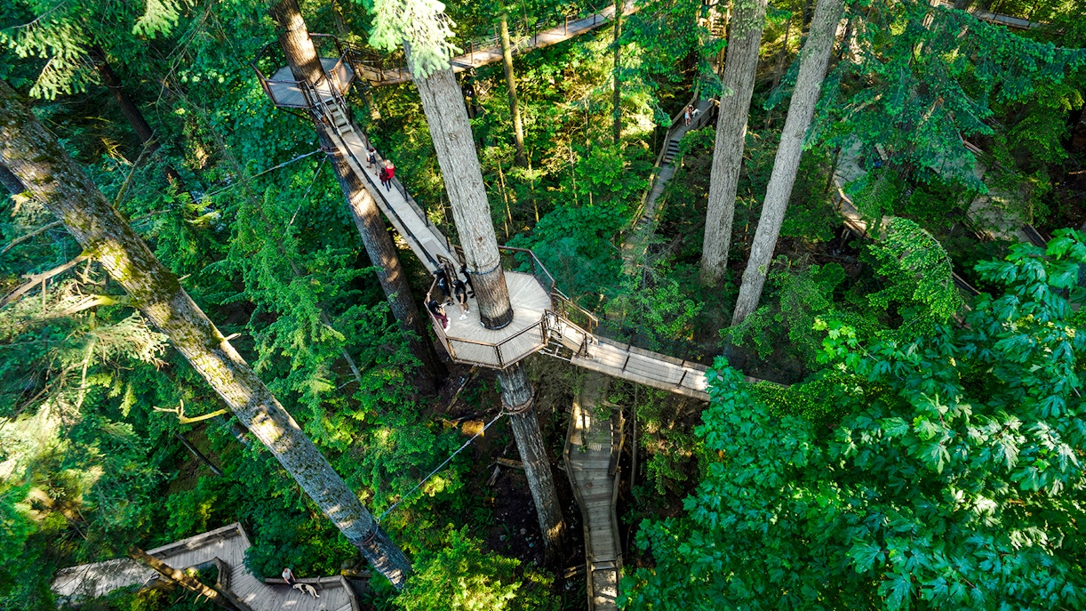 Treetop walkway at Capilano Suspension Bridge Park surrounded by lush forest.