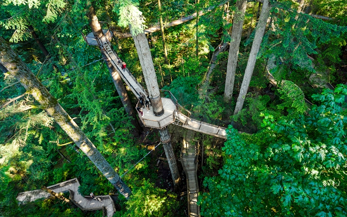 Treetop walkway at Capilano Suspension Bridge Park surrounded by lush forest.