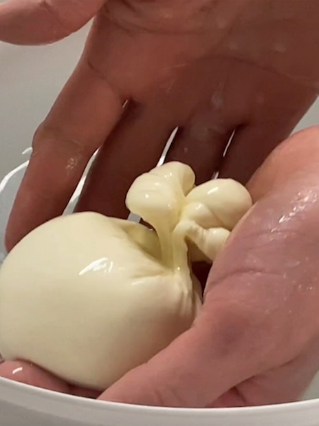 Person crafting burrata cheese at Cheese Museum, Paris, France.