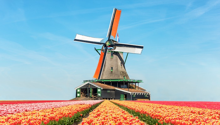 Tulp Festival Amsterdam tickets