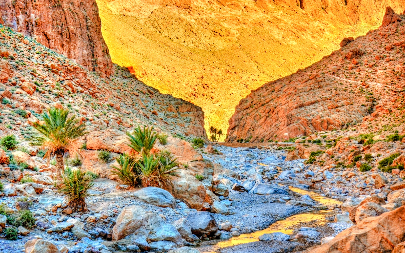 From Casablanca: Private 10-Day Morocco Imperial Cities & Sahara Desert Tour Image 12
