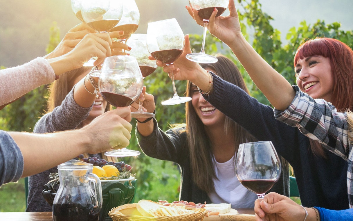 Group toasting with wine glasses at a vineyard gathering.