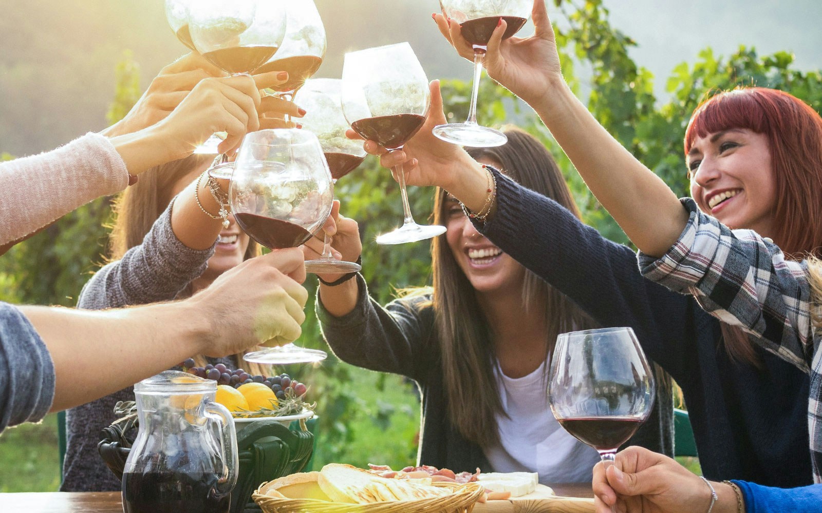 Group toasting with wine glasses at a vineyard gathering.