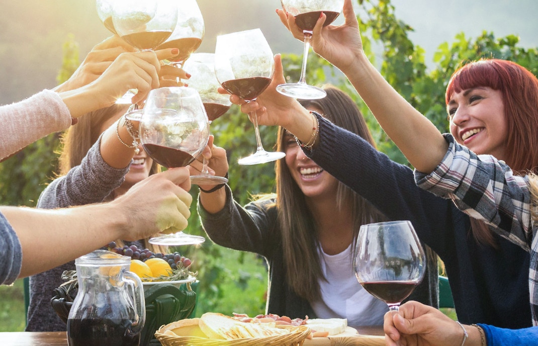 Group of people toasting wine glasses at a Yarra Valley winery in Melbourne, Australia.