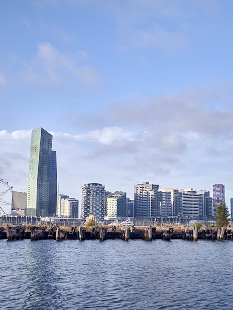 Melbourne skyline with Ferris wheel viewed from the river during a 2-hour cruise.