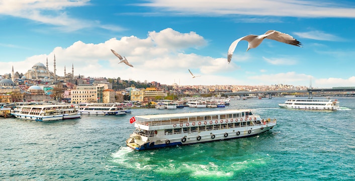 Bosphorus Sightseeing Cruises