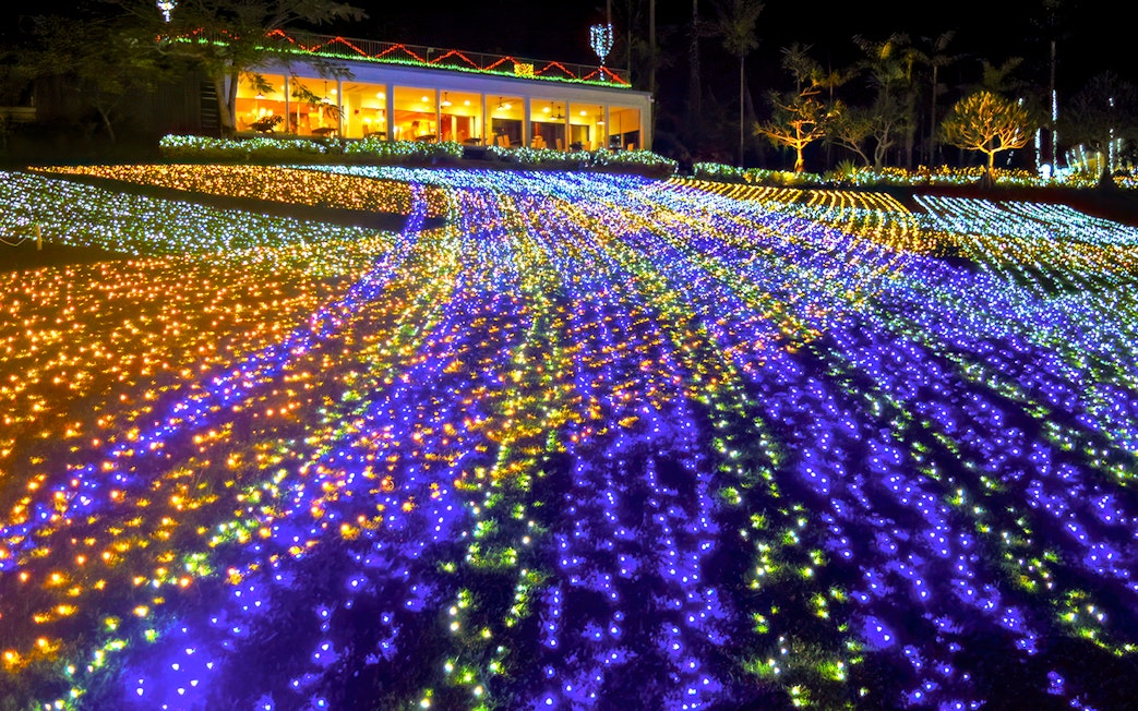 Colorful light display at night in Southeast Botanical Gardens, Okinawa.