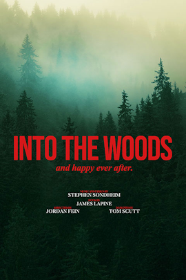 Into the Woods product image