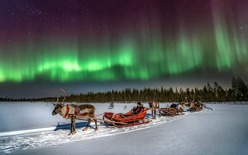Reindeer sleigh ride under northern lights in Rovaniemi, Finland.