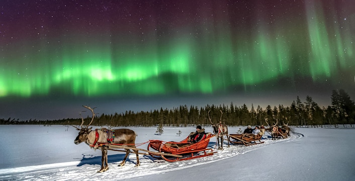 Reindeer sleigh ride under northern lights in Rovaniemi, Finland.