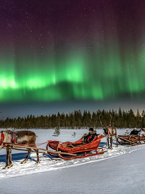 Reindeer sleigh ride under northern lights in Rovaniemi, Finland.