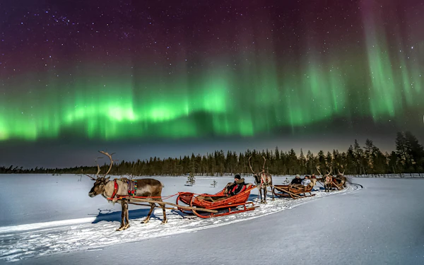 Rovaniemi: Northern Lights with Reindeer Sledding

