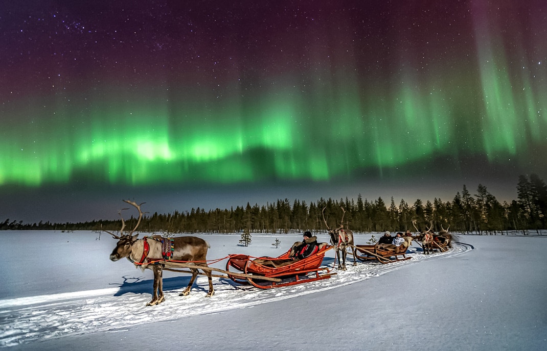 Reindeer sleigh ride under northern lights in Rovaniemi, Finland.