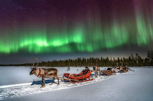 Rovaniemi: Northern Lights with Reindeer Sledding