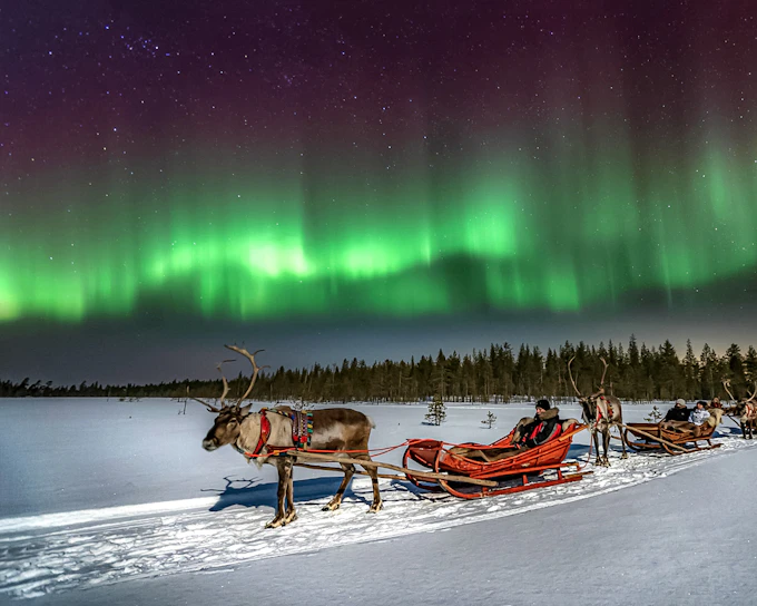 Rovaniemi: Northern Lights with Reindeer Sledding