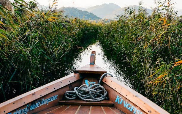 Boat navigating through reeds on Lake Skadar, Montenegro.