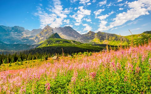 Excursão a Zakopane saindo de Cracóvia com entrada para os banhos termais de Chocholow