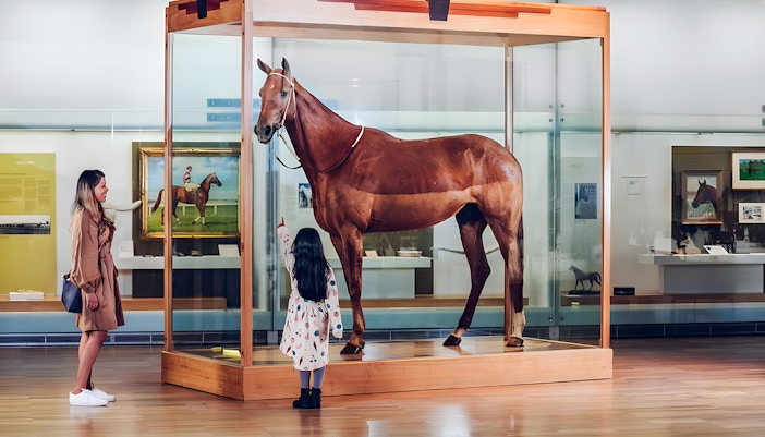 Phar Lap exhibit at Melbourne Museum with visitors observing.