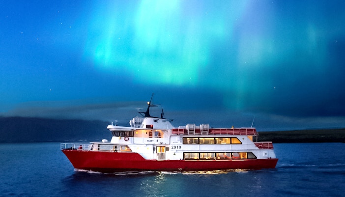 From Reykjavik: Northern Lights Sightseeing Cruise