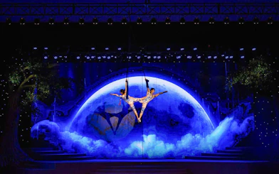 Acrobats performing aerial act against a moonlit backdrop at Charming Danang Show, Da Nang.
