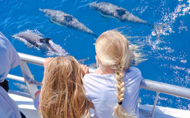 Children watching dolphins from a boat on the Auckland Tikapa Moana cruise.