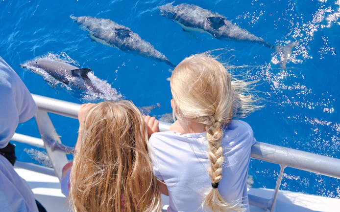 Children watching dolphins from a boat on the Auckland Tikapa Moana cruise.