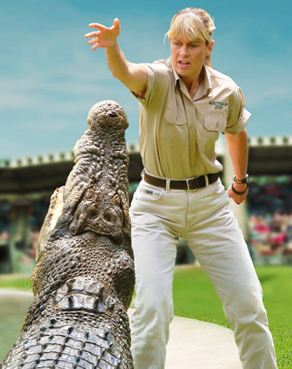 Australia Zoo staff member interacting with a crocodile at Crocmuseum exhibit.
