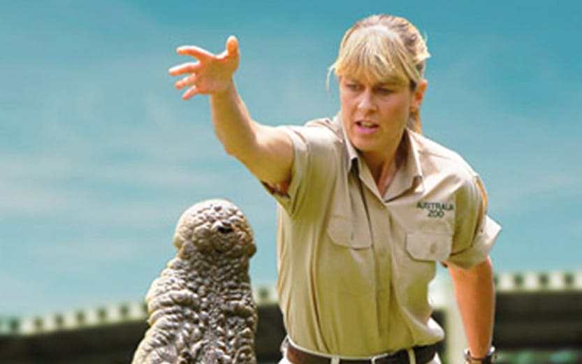 Australia Zoo staff member interacting with a crocodile at Crocmuseum exhibit.