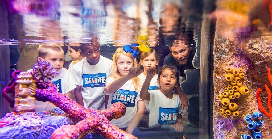 Buy Go City Orlando Passes