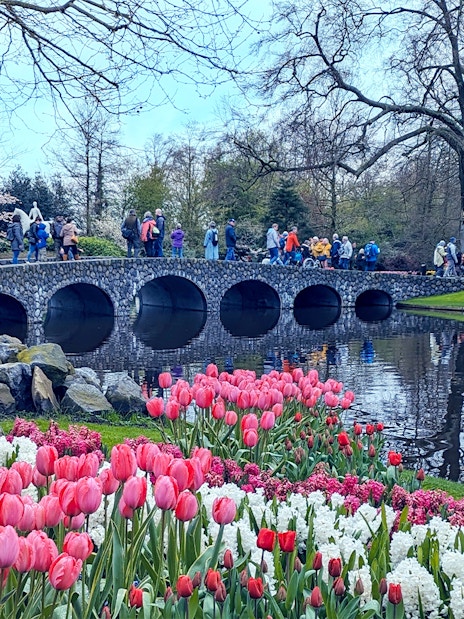 Visitors crossing a stone bridge at Keukenhof Gardens, Amsterdam, with tulips in bloom.