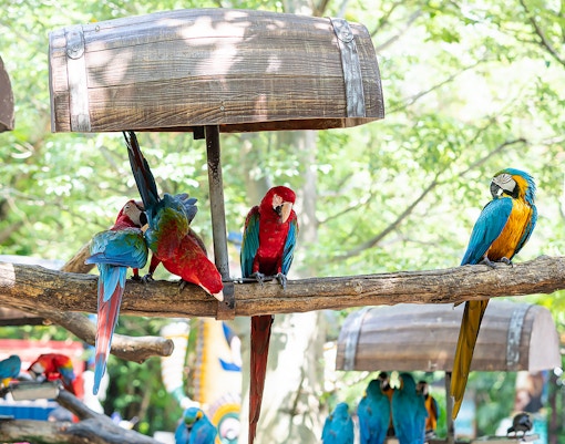 Safari World Bangkok entrance with visitors and animal sculptures, highlighting tour experience with round-trip transfers.