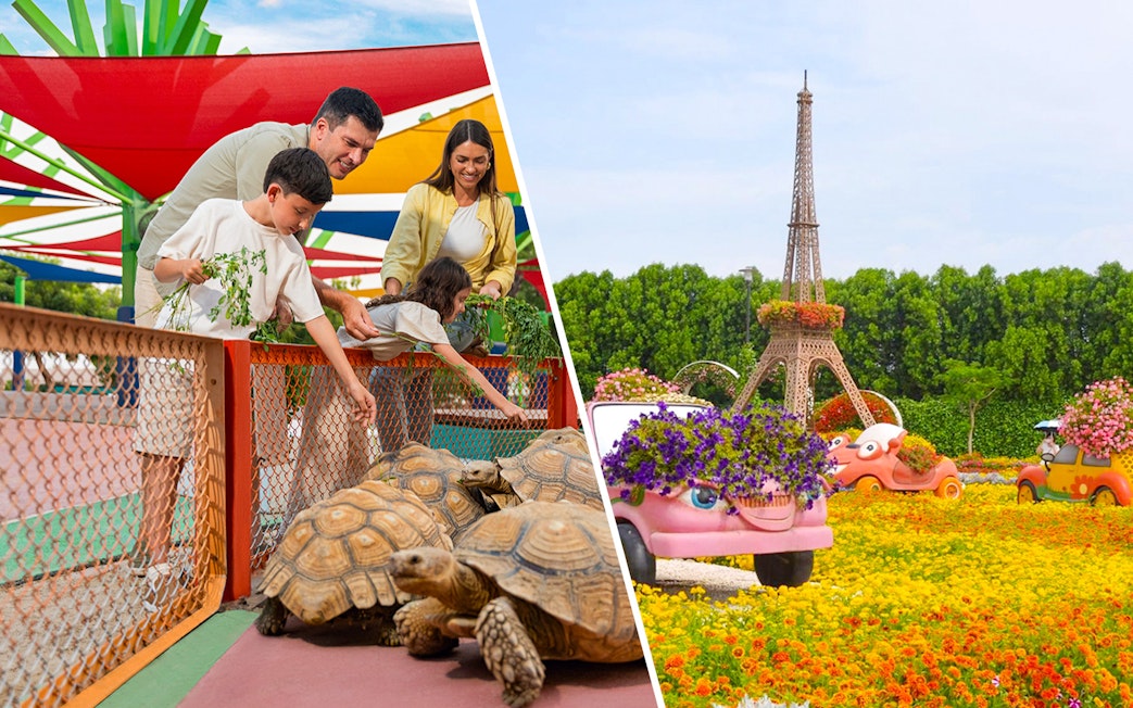 Family feeding tortoises at Dubai Safari Park and floral displays at Dubai Miracle Garden.