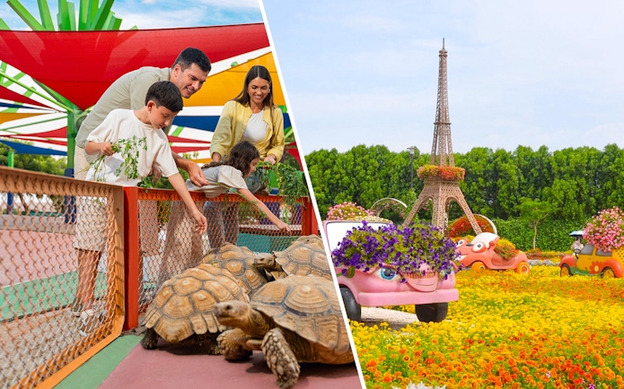 Family feeding tortoises at Dubai Safari Park and floral displays at Dubai Miracle Garden.