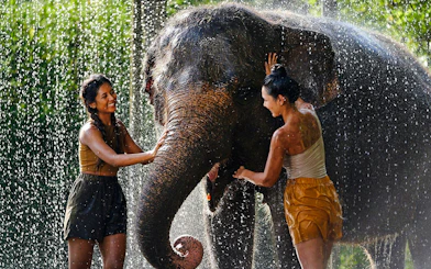 Two women interacting with an elephant during a feeding and mud bath experience.