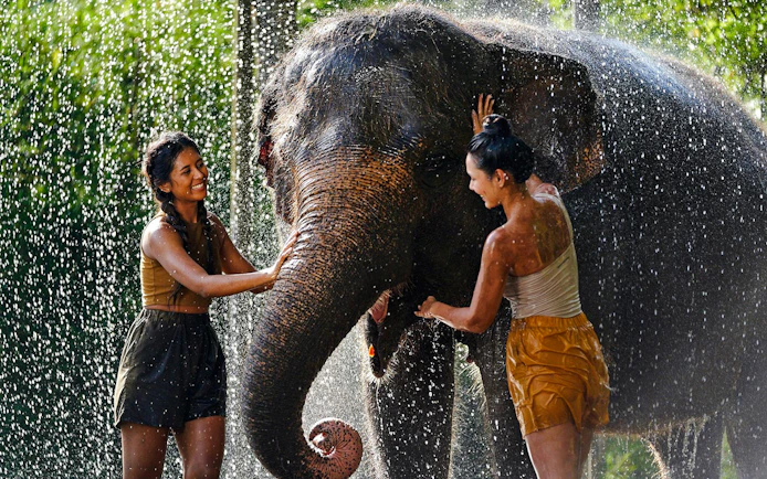 Two women interacting with an elephant during a feeding and mud bath experience.