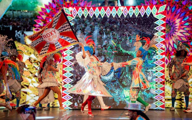 Performers in colorful costumes at Roxy Dinner Show, Rio de Janeiro, holding a vibrant flag.